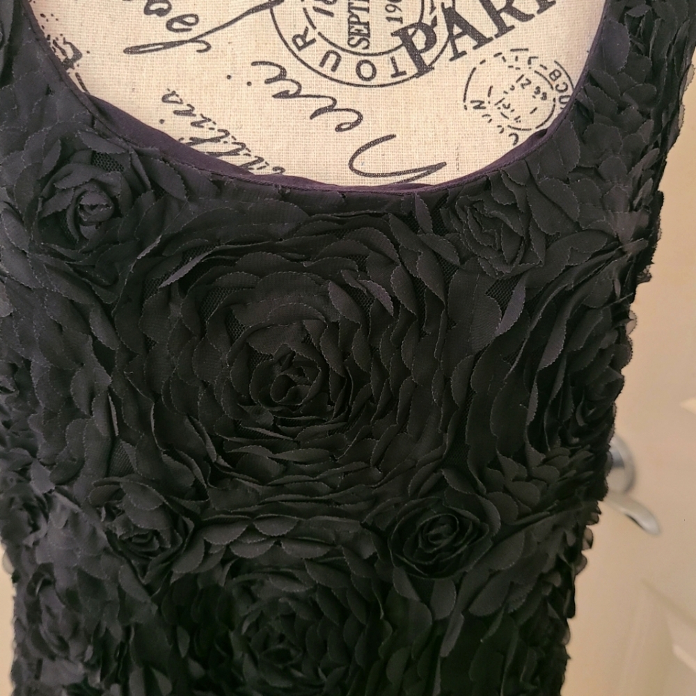 Soleil Black Dress Mesh & 3D Flowers/Tulle Front Jersey Solid Back LBD